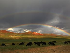 Mongolsko – svoboda a volnost